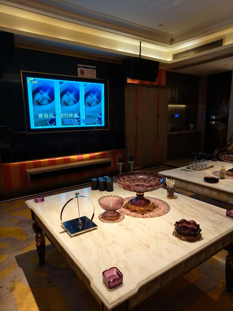 辽阳商务ktv详解-太子河区ktv预订